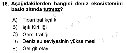 Sürdürülebilir Kentsel Dayanıklılık 2023-2024 Yaz Okulu Sınavı - 16. soru