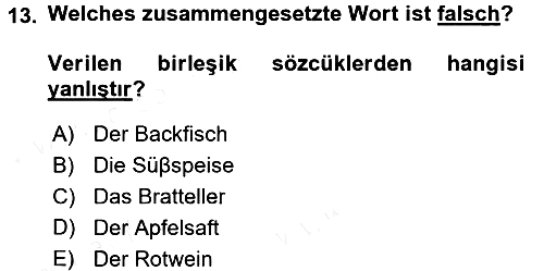 Almanca 1 2016-2017 Dönem Sonu Sınavı - 13. soru