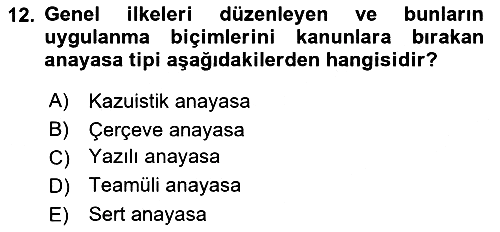 Anayasa Hukuku 2019-2020 Ara Sınav - 12. soru