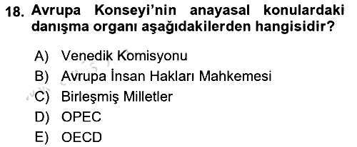 Anayasa Hukuku 2019-2020 Ara Sınav - 18. soru