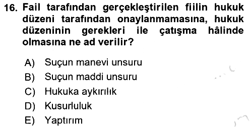 Ceza Hukuku Bilgisi 2024-2025 Ara Sınav - 16. soru
