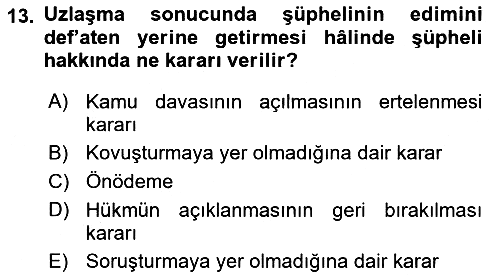 Ceza Hukuku Bilgisi 2022-2023 Dönem Sonu Sınavı - 13. soru