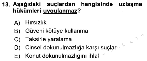 Ceza Hukuku Bilgisi 2022-2023 Yaz Okulu Sınavı - 13. soru