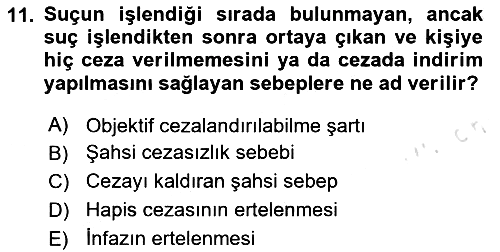 Ceza Hukuku Bilgisi 2023-2024 Yaz Okulu Sınavı - 11. soru