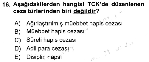 Ceza Hukuku Bilgisi 2024-2025 Yaz Okulu Sınavı - 16. soru