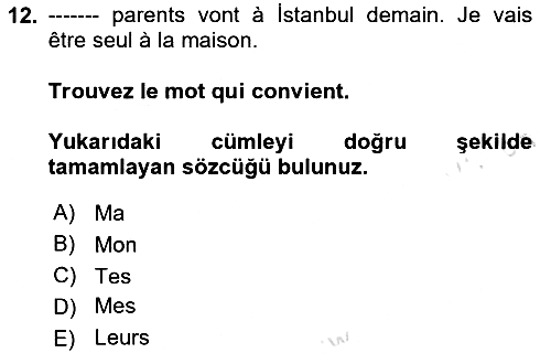 Fransızca 1 2024-2025 Ara Sınav - 12. soru