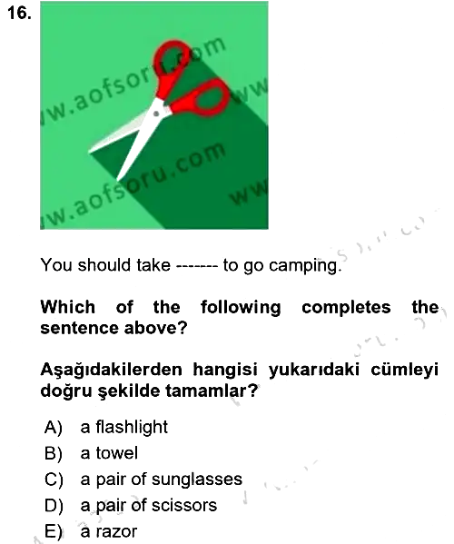 İngilizce 2 2024-2025 Yaz Okulu Sınavı - 16. soru