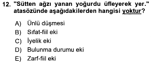 Türk Dili 1 2016-2017 3 Ders Sınavı - 12. soru