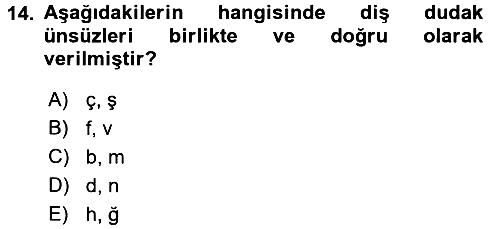 Türk Dili 1 2016-2017 Ara Sınav - 14. soru