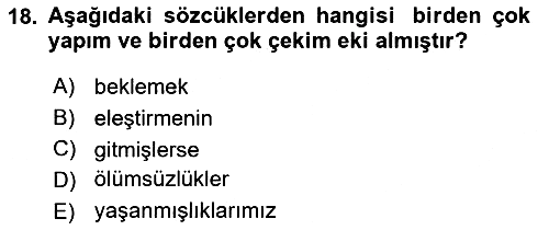 Türk Dili 1 2024-2025 Ara Sınav - 18. soru
