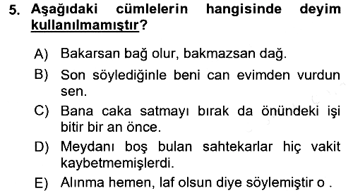 Türk Dili 1 2016-2017 Dönem Sonu Sınavı - 5. soru