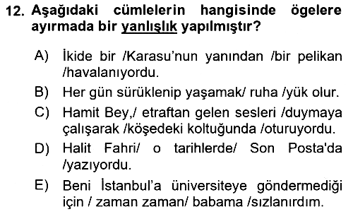 Türk Dili 1 2021-2022 Dönem Sonu Sınavı - 12. soru
