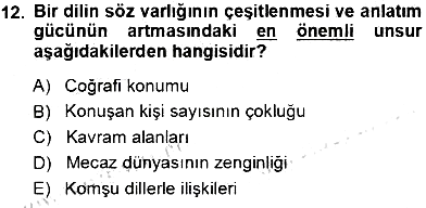 Türk Dili 1 2013-2014 Tek Ders Sınavı - 12. soru