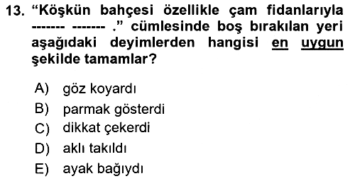 Türk Dili 1 2018-2019 Yaz Okulu Sınavı - 13. soru