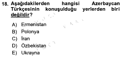 Türk Dili 1 2024-2025 Yaz Okulu Sınavı - 18. soru