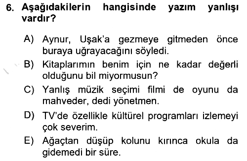 Türk Dili 2 2024-2025 Ara Sınav - 6. soru