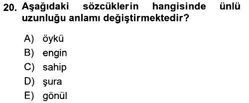 Türk Dili 2 2016-2017 Dönem Sonu Sınavı - 20. soru