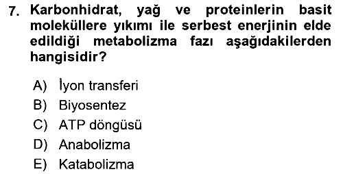 Beslenmenin Temel İlkeleri 2018-2019 3 Ders Sınavı - 7. soru