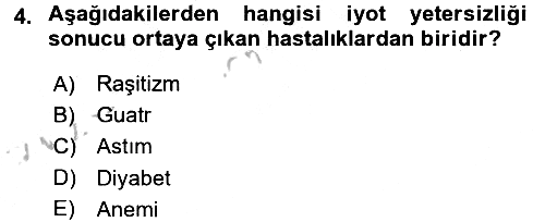 Beslenmenin Temel İlkeleri 2016-2017 Ara Sınav - 4. soru