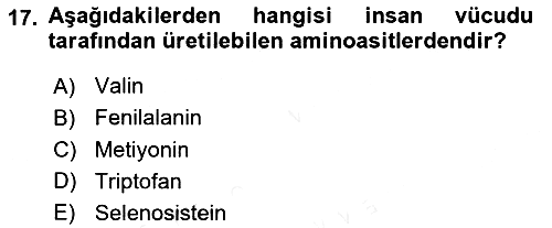 Beslenmenin Temel İlkeleri 2018-2019 Ara Sınav - 17. soru
