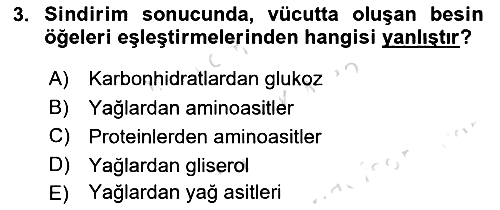Beslenmenin Temel İlkeleri 2023-2024 Dönem Sonu Sınavı - 3. soru