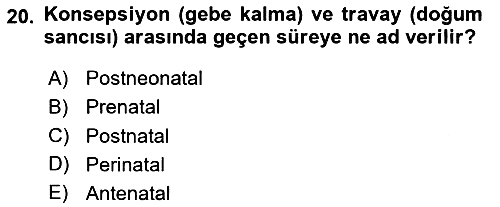 Beslenmenin Temel İlkeleri 2020-2021 Yaz Okulu Sınavı - 20. soru