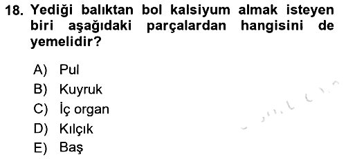 Beslenmenin Temel İlkeleri 2021-2022 Yaz Okulu Sınavı - 18. soru