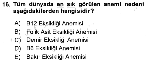 Beslenmenin Temel İlkeleri 2023-2024 Yaz Okulu Sınavı - 16. soru