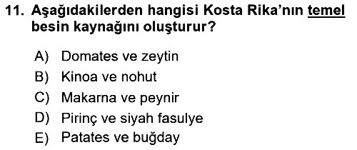 Dünya Mutfakları 2024-2025 Ara Sınav - 11. soru