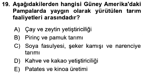 Dünya Mutfakları 2024-2025 Ara Sınav - 19. soru