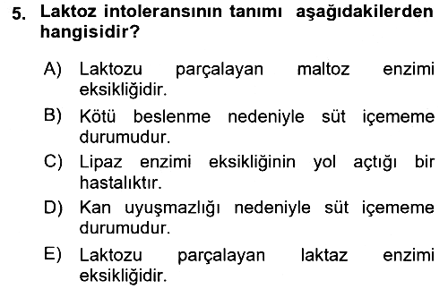 Gastronomi Tarihi 2016-2017 Ara Sınav - 5. soru