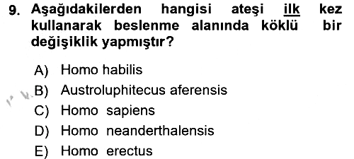 Gastronomi Tarihi 2016-2017 Ara Sınav - 9. soru