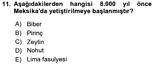 Gastronomi Tarihi 2016-2017 Ara Sınav - 11. soru