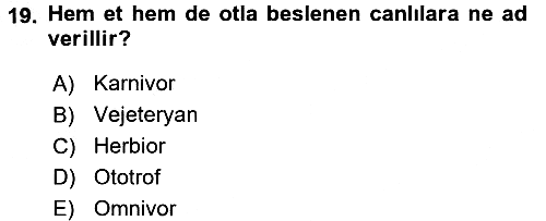 Gastronomi Tarihi 2016-2017 Ara Sınav - 19. soru