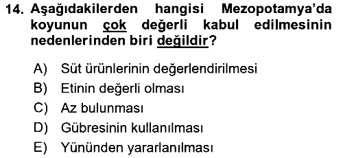 Gastronomi Tarihi 2017-2018 Ara Sınav - 14. soru
