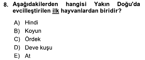 Gastronomi Tarihi 2021-2022 Ara Sınav - 8. soru