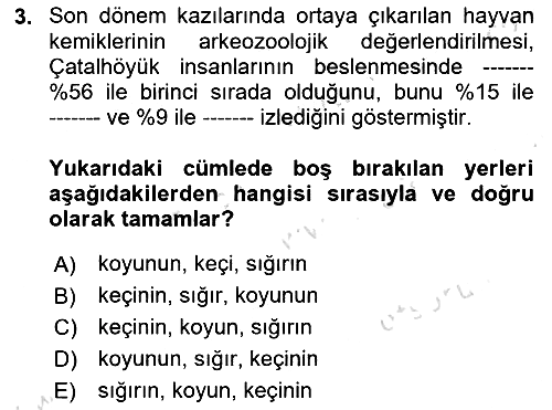 Gastronomi Tarihi 2023-2024 Ara Sınav - 3. soru