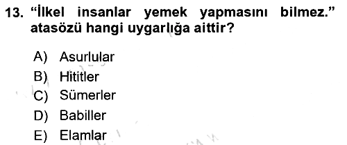 Gastronomi Tarihi 2023-2024 Ara Sınav - 13. soru
