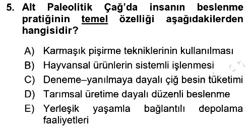 Gastronomi Tarihi 2025-2026 Ara Sınav - 5. soru