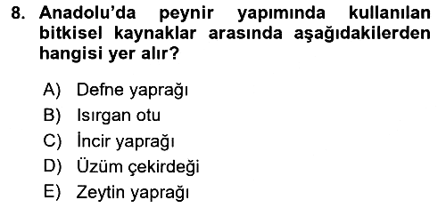 Gastronomi Tarihi 2025-2026 Ara Sınav - 8. soru