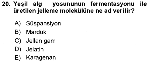 Gastronomi Tarihi 2016-2017 Dönem Sonu Sınavı - 20. soru