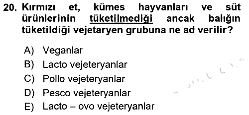 Gastronomi Tarihi 2021-2022 Yaz Okulu Sınavı - 20. soru