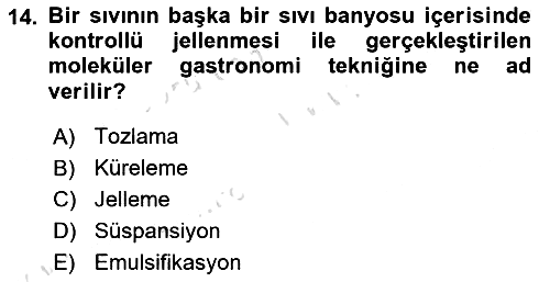 Gastronomi Tarihi 2024-2025 Yaz Okulu Sınavı - 14. soru