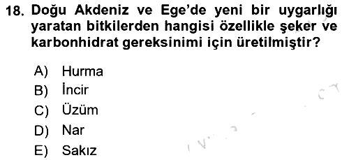Gastronomi Tarihi 2024-2025 Yaz Okulu Sınavı - 18. soru
