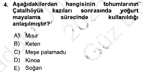 Gastronomi Ve Medya 2025-2026 Ara Sınav - 4. soru