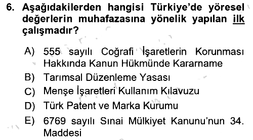 Gastronomi Ve Sürdürülebilirlik 2024-2025 Dönem Sonu Sınavı - 6. soru