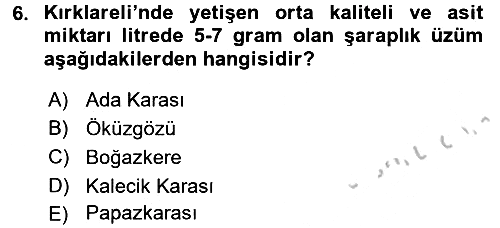 İçecek Bilgisi 2016-2017 3 Ders Sınavı - 6. soru