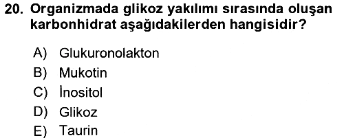 İçecek Bilgisi 2017-2018 Ara Sınav - 20. soru