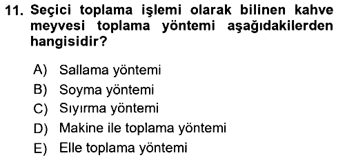 İçecek Bilgisi 2021-2022 Ara Sınav - 11. soru
