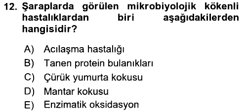 İçecek Bilgisi 2016-2017 Dönem Sonu Sınavı - 12. soru